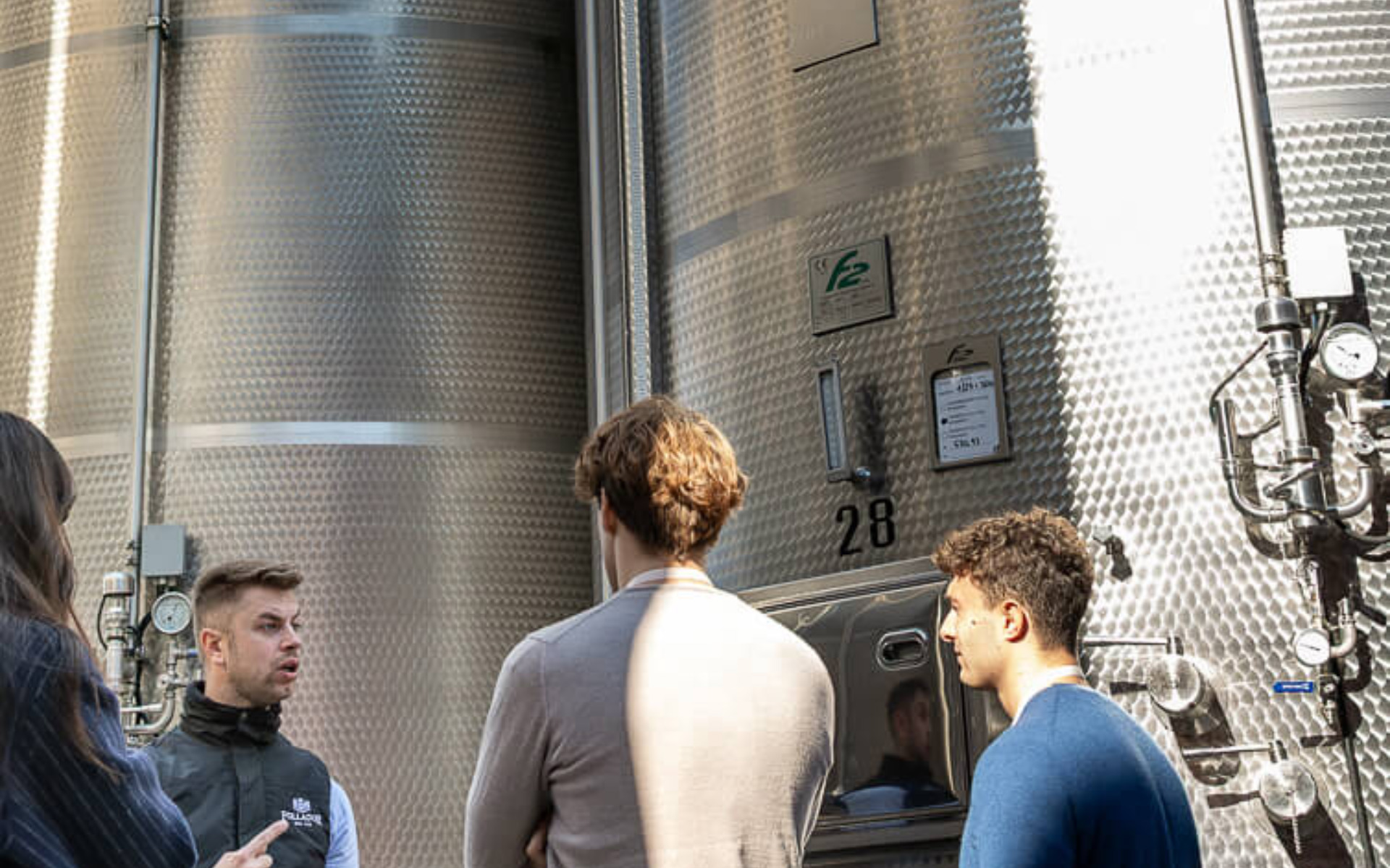 Winery tour and guided tasting at Follador